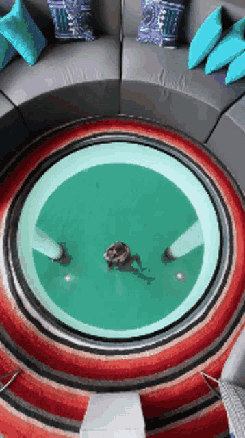 a person is swimming under a glass floor in a room