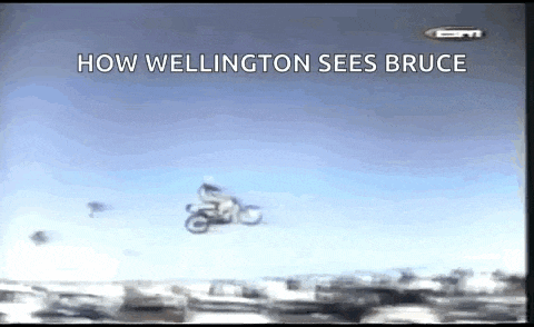 a person riding a motorcycle in the air with the words how wellington sees bruce below them