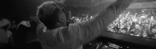 Concert Carnage GIF - Concert Carnage Hyped GIFs