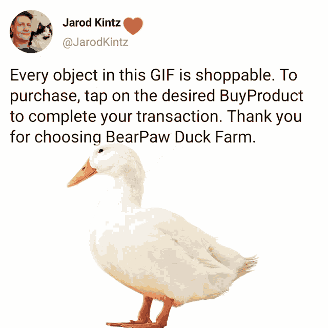 a tweet from jarod kintz with a picture of a duck and the words " every object in this gif is shoppable "