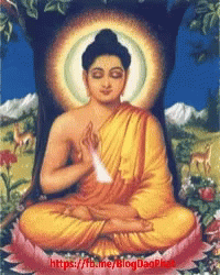 Namo Phật GIF - Namo Phật Buddho GIFs