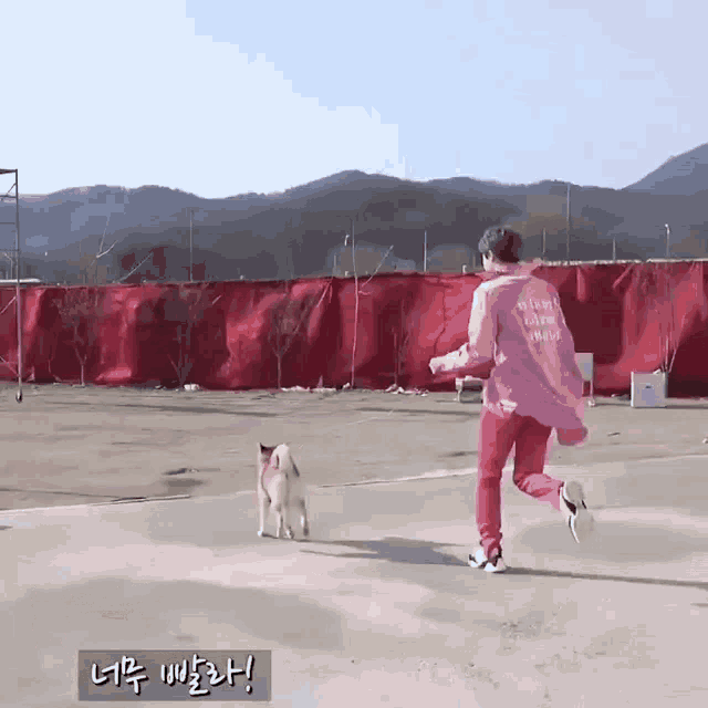 a man in a pink shirt is running with a dog in front of a red fence