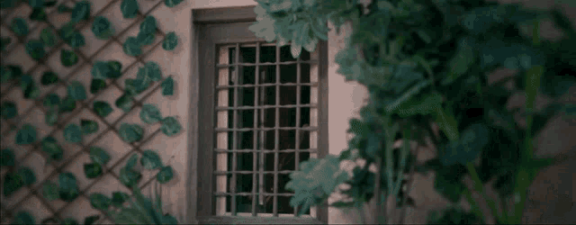 a woman peeking out of a window with bars on it