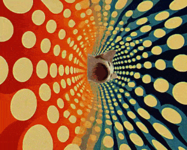 an optical illusion of a cat going through a tunnel of circles