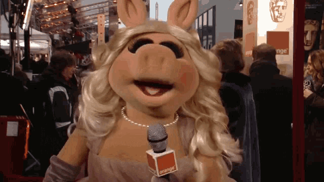 a pig mascot holding a microphone that says orange on it