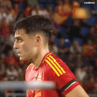 a close up of a soccer player wearing a red jersey with yellow stripes on the side .