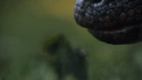 a close up of a snail 's tail with a blurry background