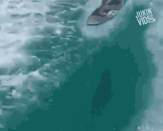 Surfing With Dolphins Surfing GIF - Surfing With Dolphins Surfing Dolphins GIFs
