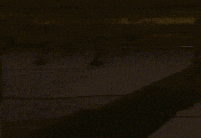 a cartoon character is standing on a wooden floor .