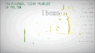 a cartoon of a cat with the word bozo written on it