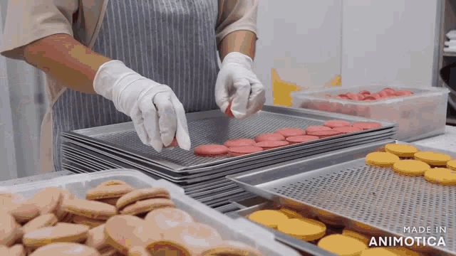 a person is putting cookies on a tray that says made in animatica on the bottom