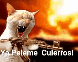 a cat is holding a gun with the words ya peleme culerros written below it