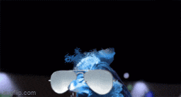 a gif of a bird wearing sunglasses with the website imgflip.com in the corner