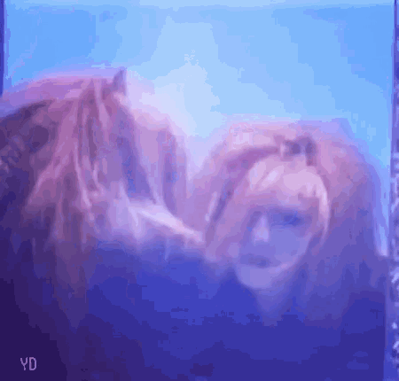 a woman with long hair is standing next to a horse in a blue room .
