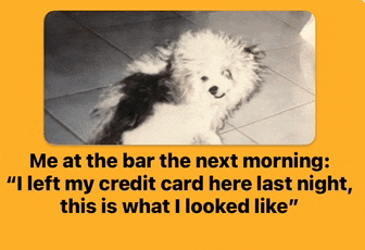 a picture of a dog with the words " me at the bar the next morning " below it
