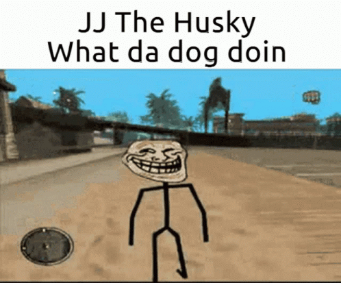 Jjthehusky Dog GIF - Jjthehusky Jj Dog GIFs