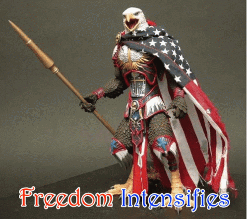 Freedom Intensifies Eagle GIF - Freedom Intensifies Eagle America GIFs