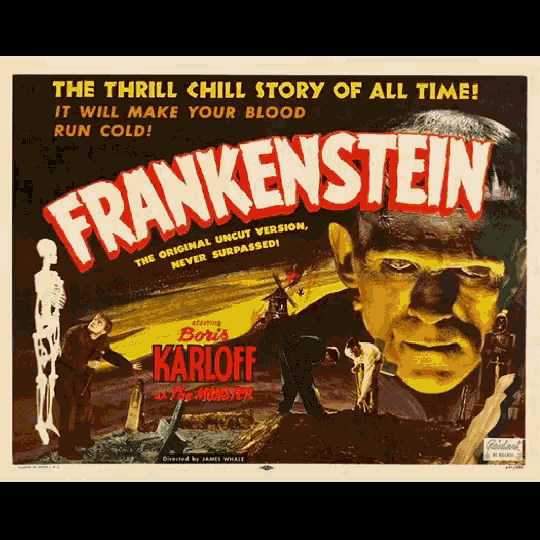 a movie poster for frankenstein shows a skeleton