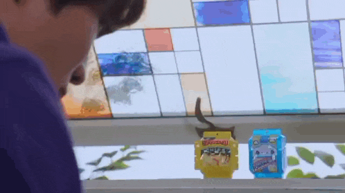 a man in a purple shirt is looking out a window at a cat sitting on a table .