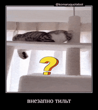 a cat is laying on a scratching post with a question mark above it