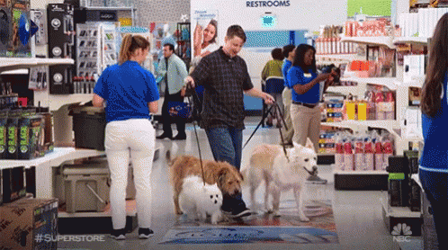 Nbc Superstore GIF - Nbc Superstore Dogs GIFs
