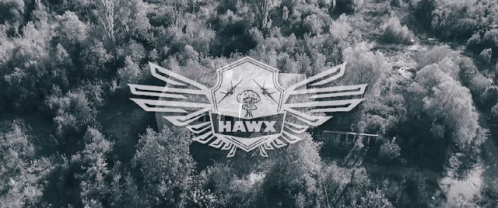 Logo Hawx GIF - Logo Hawx Hawx Logo GIFs