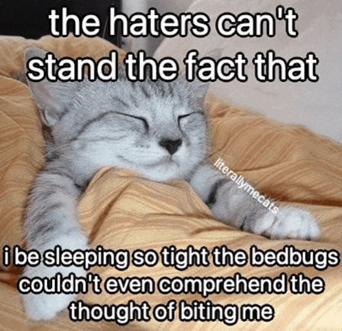 a cat laying on a bed with a caption that says " the haters can 't stand the fact that i be sleeping