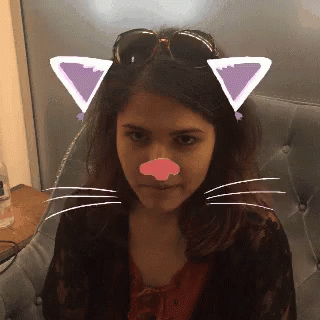 Ghahremani Cat GIF - Ghahremani Cat Snap Chat GIFs