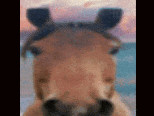 a blurry picture of a horse 's head with a sunset in the background .