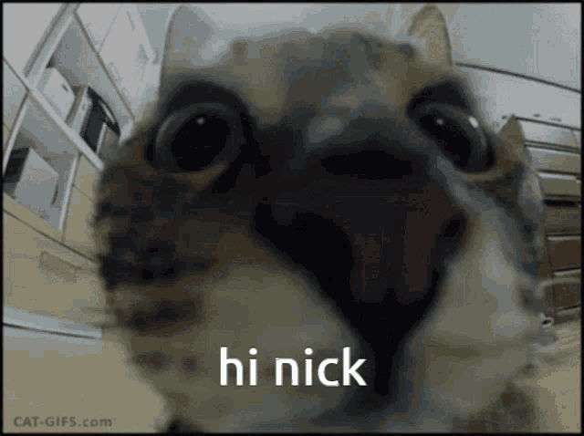 Hi Nick Nick GIF - Hi Nick Nick Hi Daxton GIFs