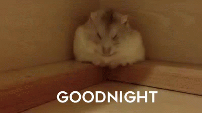 Time For Sleep GIF - Goodnight Night Asleep GIFs
