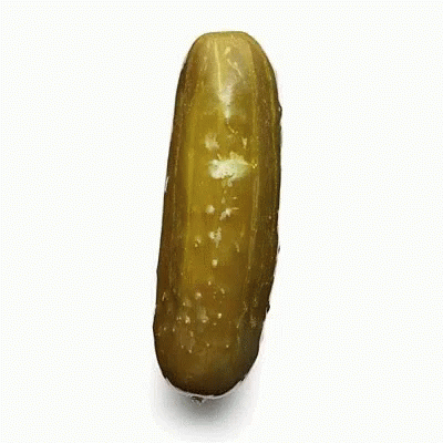 Dill With It Deal With It GIF - Dill With It Deal With It Pickles GIFs