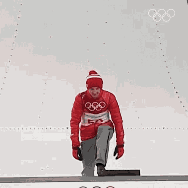 Victorious Speed Skating GIF - Victorious Speed Skating Kamil Stoch GIFs