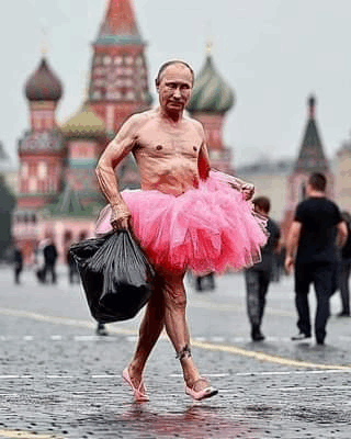 Z Putin GIF - Z Putin GIFs