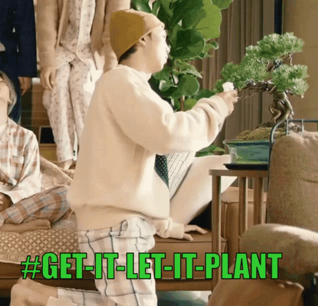 Get It Let It Plant Treevolution GIF