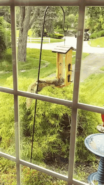 a squirrel is eating from a bird feeder in a garden