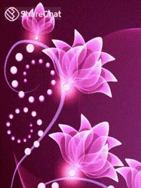 a picture of purple flowers on a dark purple background