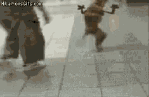 a gif of a monkey walking on a sidewalk with the website hilariousgifs.com in the lower right corner
