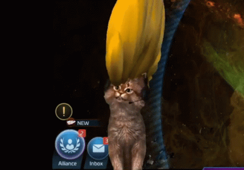 Ultimat Djz Ultimatedjz GIF - Ultimat Djz Ultimatedjz Mohawk Cat GIFs