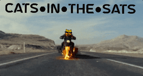 a cartoon of a cat riding a motorcycle with the words cats in the sats below it