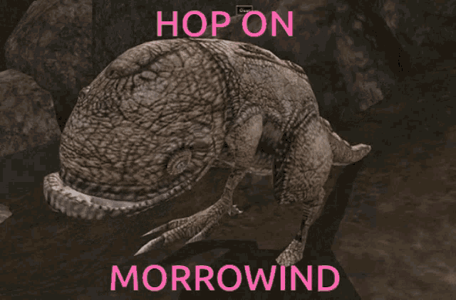 Morrowind Tes3mp GIF - Morrowind Tes3mp Openmw GIFs
