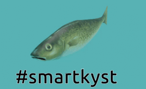 Torsk Cod GIF - Torsk Cod Norway GIFs