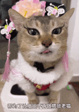 a cat wearing a hat with a flower on it is licking its lips