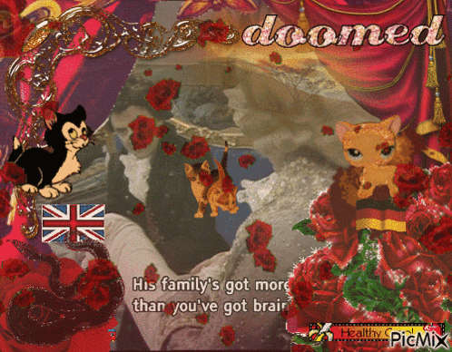 a picture of a cat with the words " his family 's got more than you 've got brain " on it