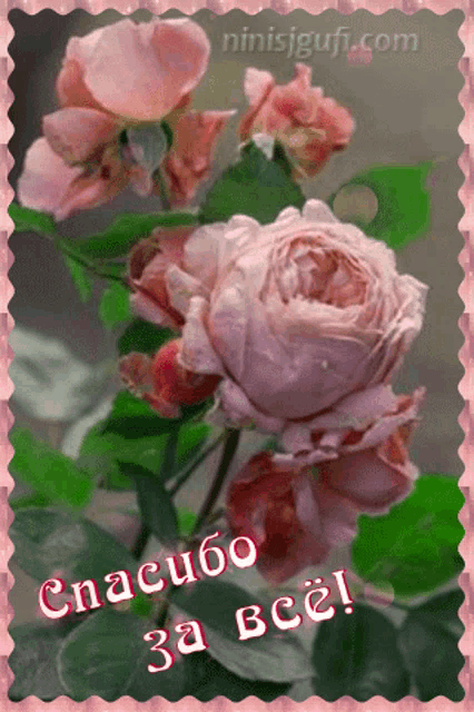 a greeting card with pink flowers and the words спасибо за все