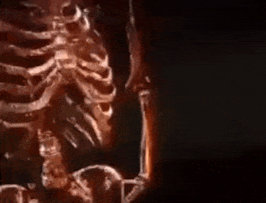 Skeleton Mortal GIF - Skeleton Mortal Gangsta GIFs