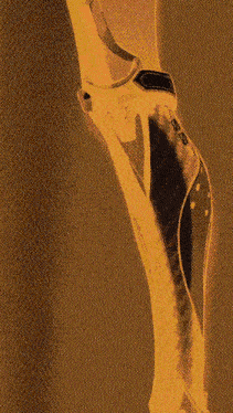 a close up of a person 's leg with the letter b on the bottom