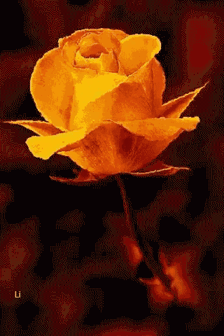 a pixel art of a yellow rose with the name lili on the bottom right