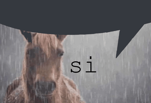 Si Horse GIF - Si Horse Sad GIFs