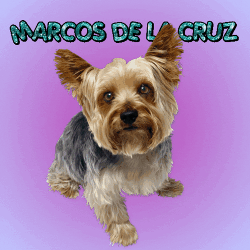 Marcos De La Cruz De La Cruz GIF - Marcos De La Cruz De La Cruz Bowling GIFs
